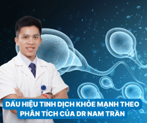 thiết kế