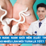 thiết kế (9)