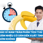 thiết kế (1)