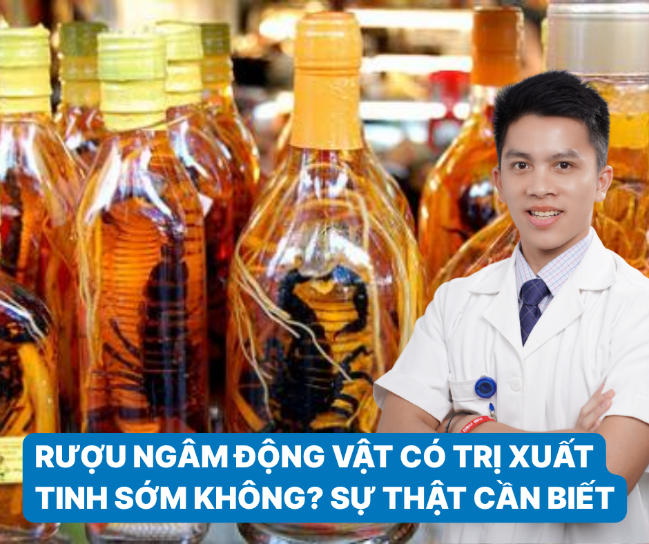 Rượu ngâm động vật có trị xuất tinh sớm
