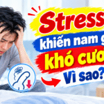 Stress ảnh hưởng khả năng cương_